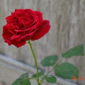 Meet your Posher, Maranda